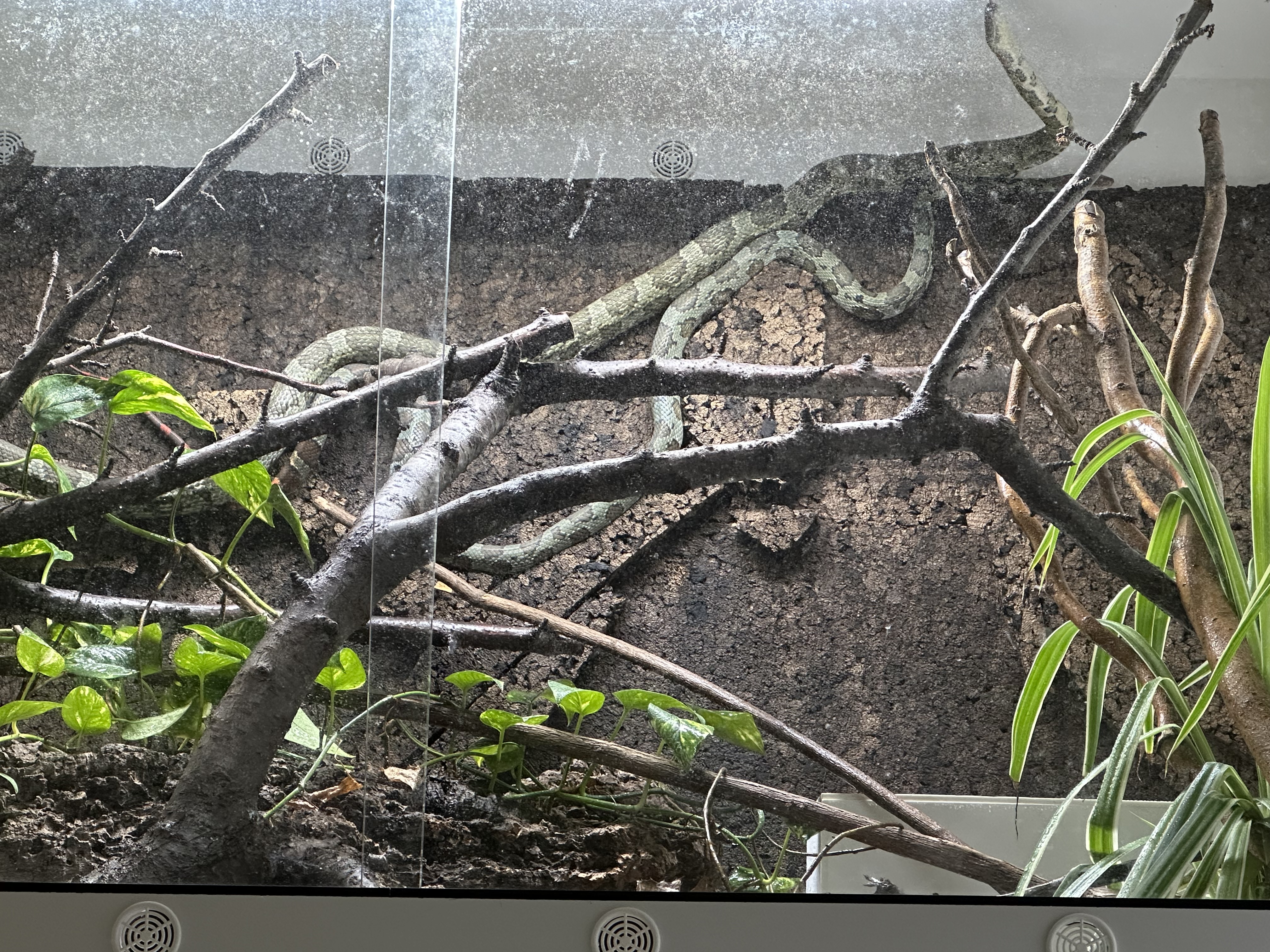 Die ersten Verfolgungsjagdten :D