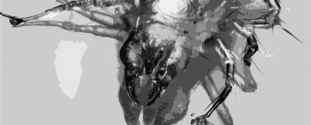 Blutmilbe Fotoquelle: BioVet